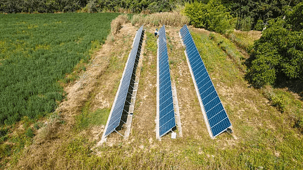 Real Decreto 214/2025: la huella de carbono ya es obligatoria en España